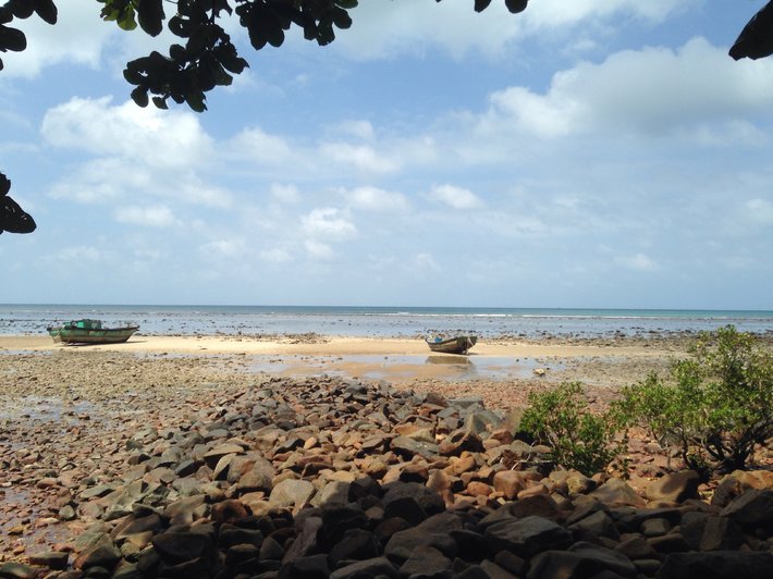 image-jpg.169621