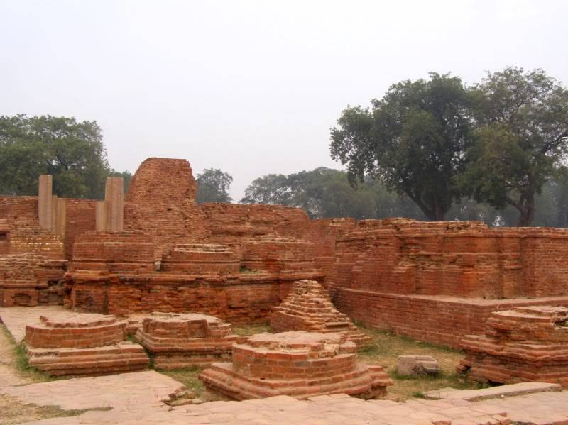 PB190981.jpg