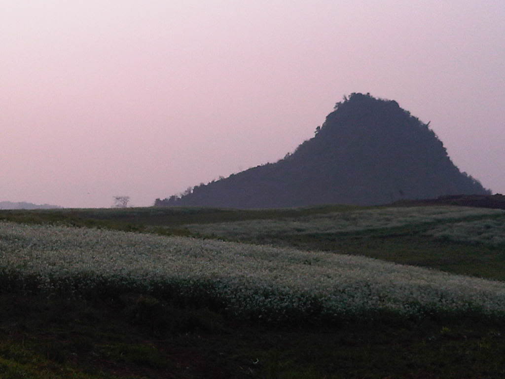IMG00528-20120305-0711.jpg