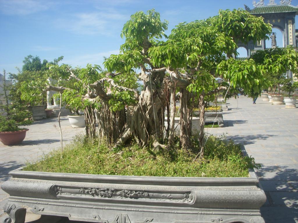 DSCN5303_zps9d98ab2e.jpg