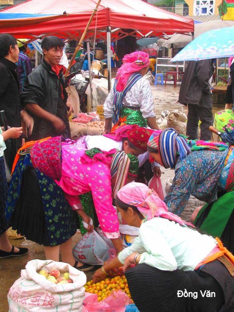 ngVn-0061024x768.jpg