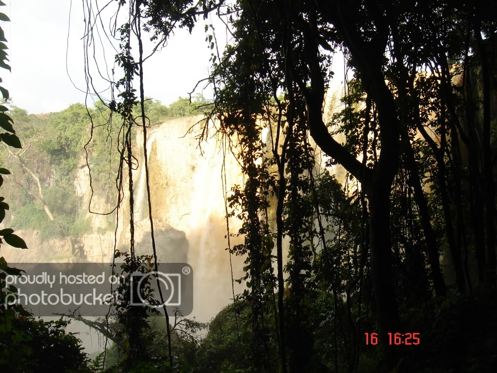 DSC01236.jpg