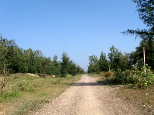 48132816.jpg