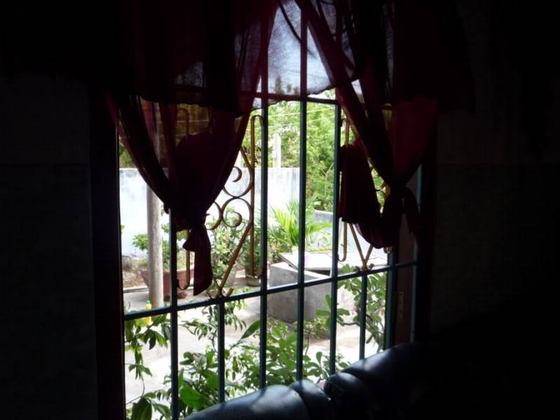 P1010565800x600.jpg