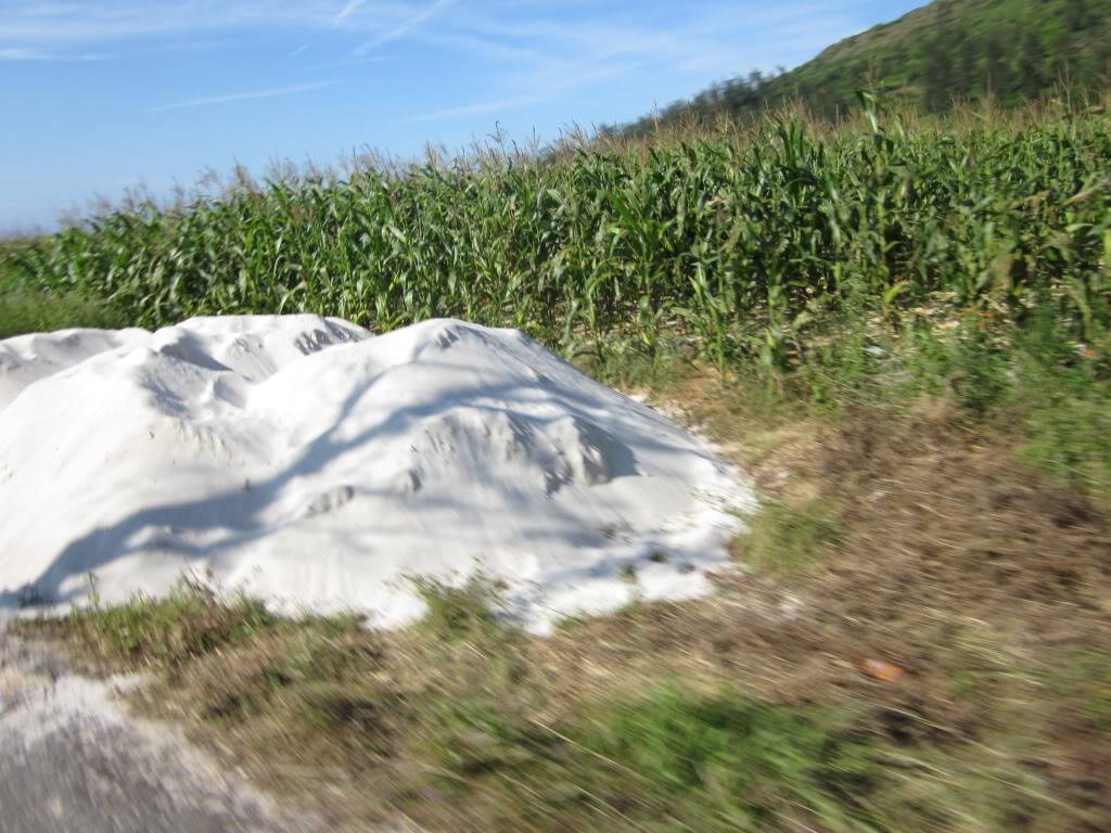 IMG_0185.jpg