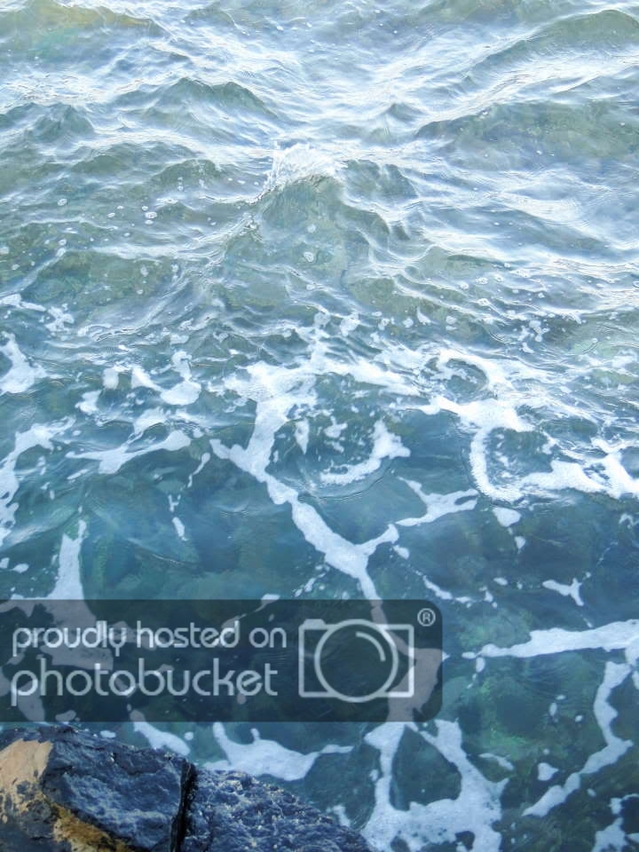 DSC04918.jpg