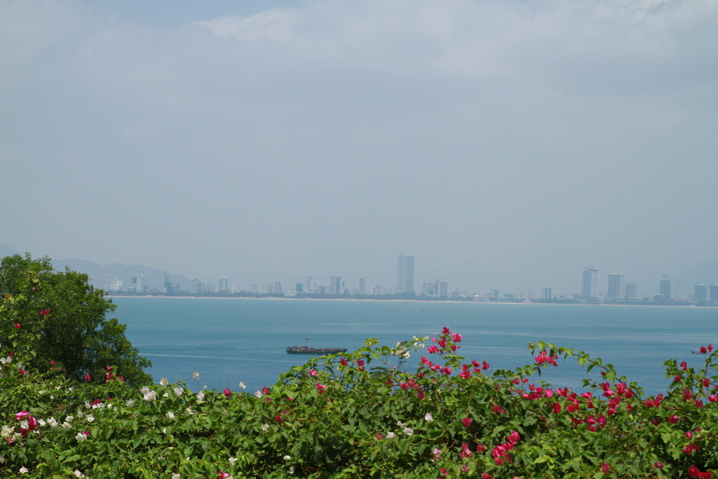 IMG_1525_zpspngmjy3b.jpg