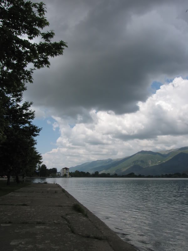 IMG_4295.jpg
