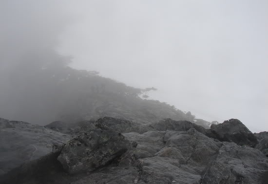 DSC09953.jpg