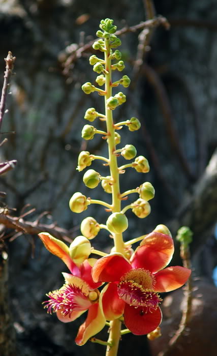 DSC_6936_resize.jpg