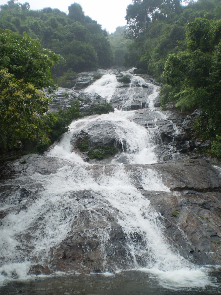P4280081.jpg