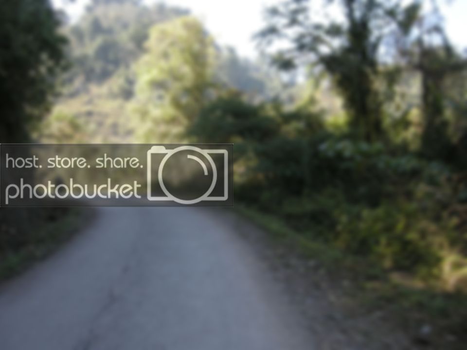 DSCN0501.jpg