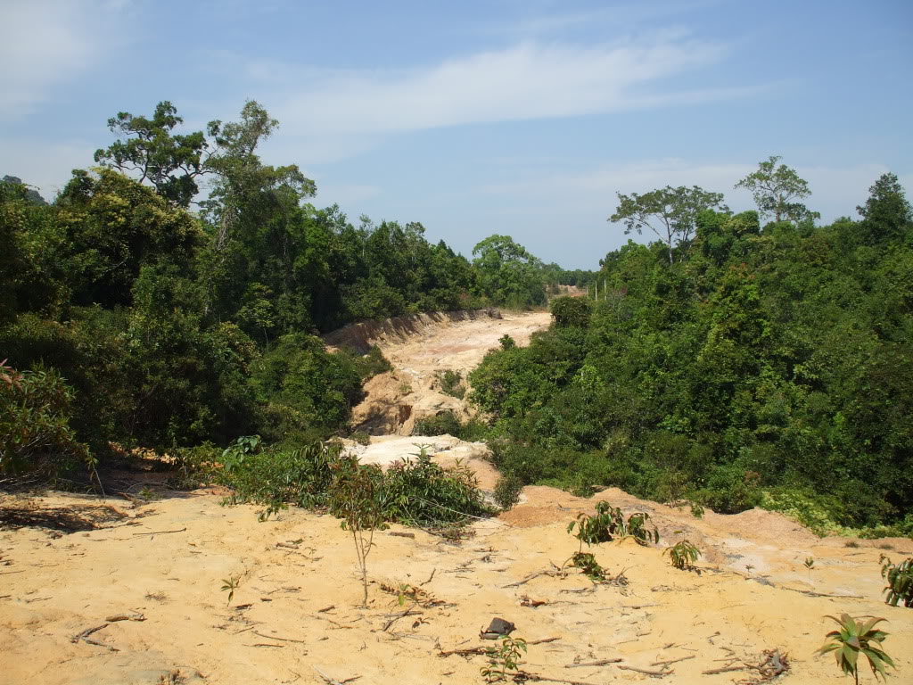 DSCF4915.jpg