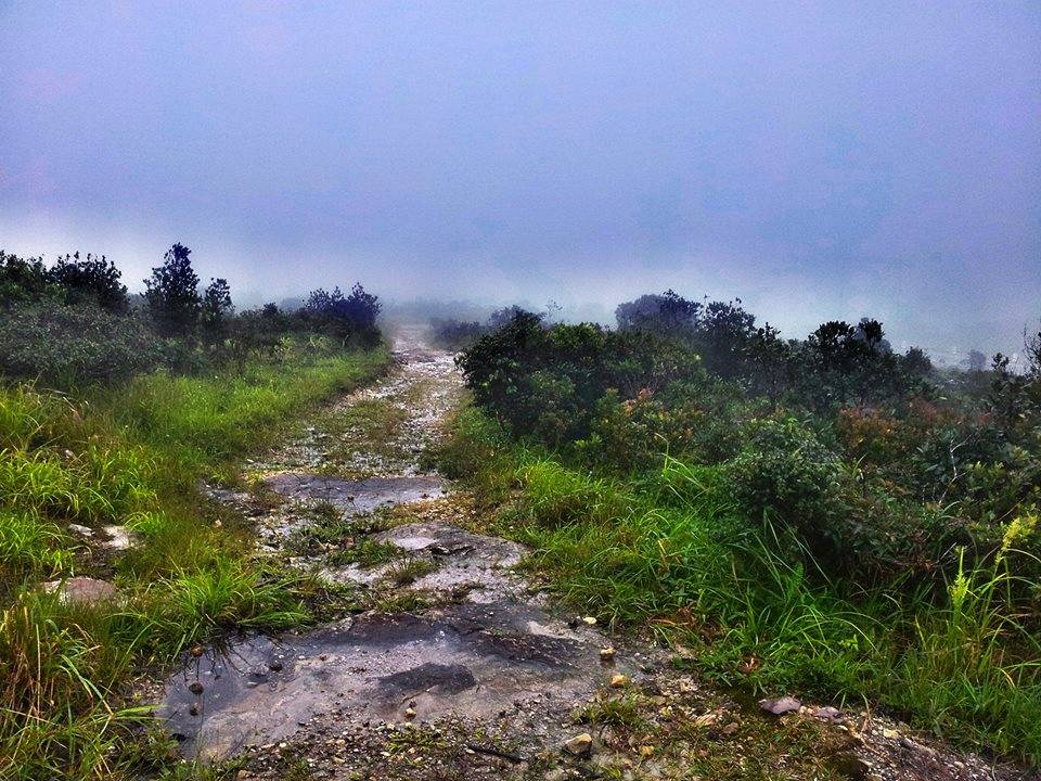 WalkingwayBokor_zpscb754c21.jpg