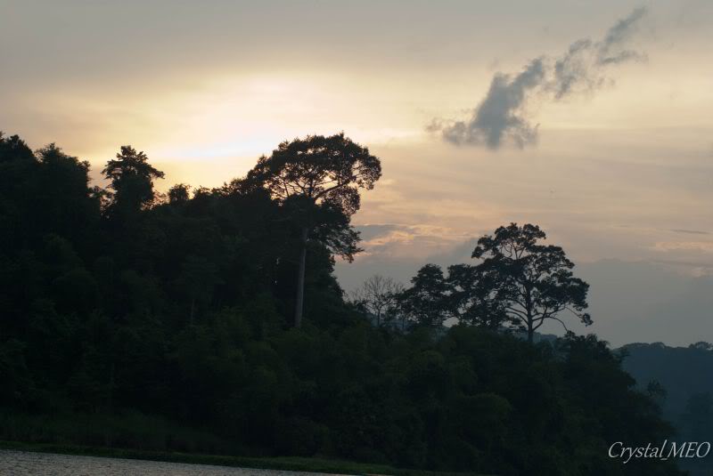 DSC_0213.jpg