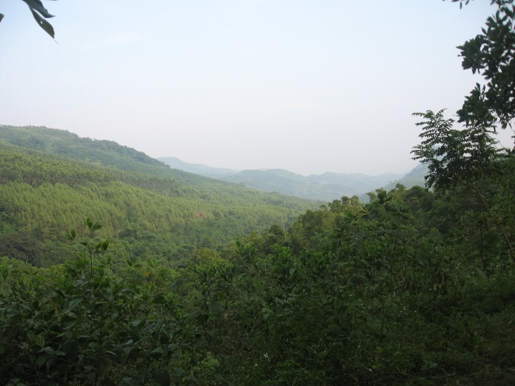 IMG_0589.jpg