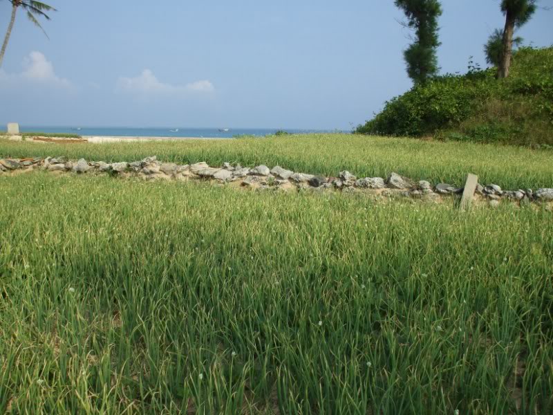 DSCF6794.jpg