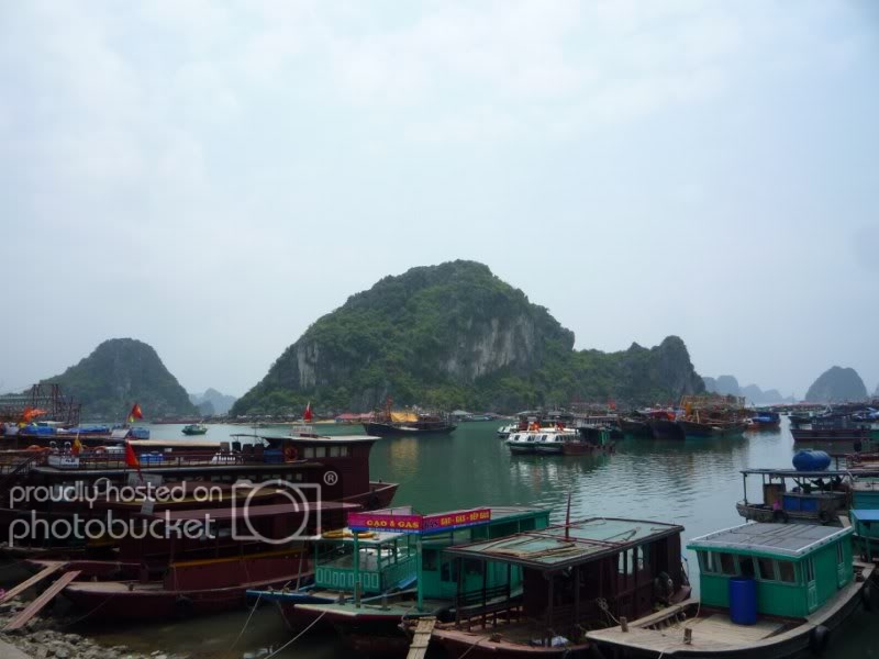 P1030927800x600.jpg