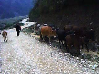 IMG0107A.jpg