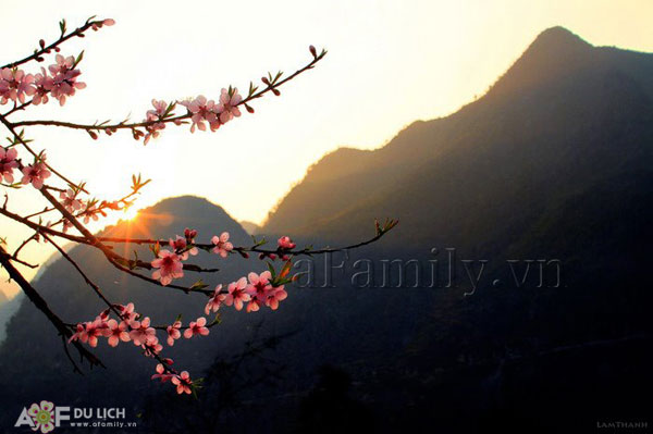18_21_1331956096_96_160312afamilyDlhagiang1_c4ecf.jpg