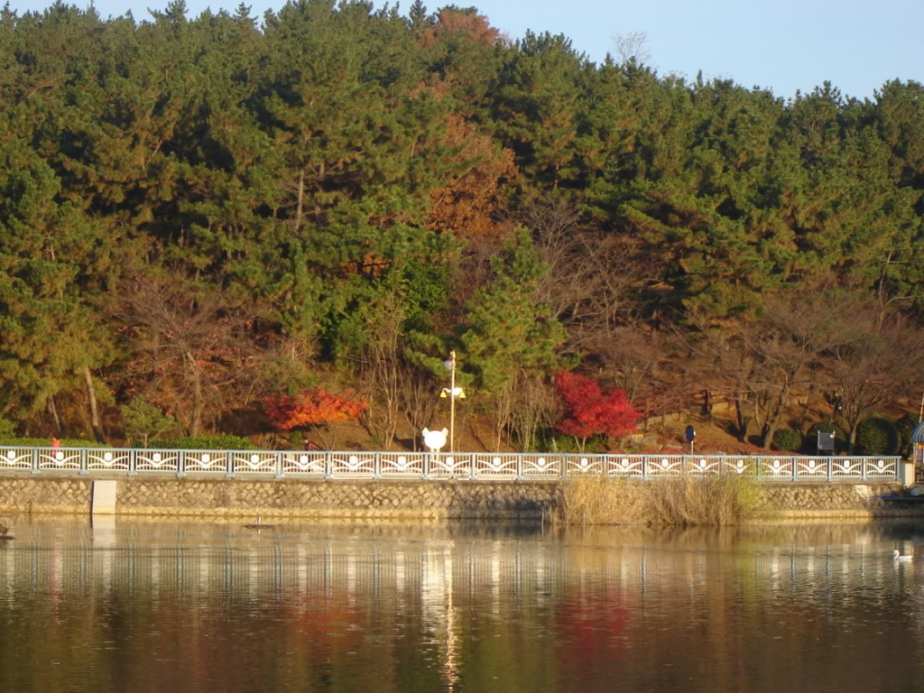 DSC08611.jpg