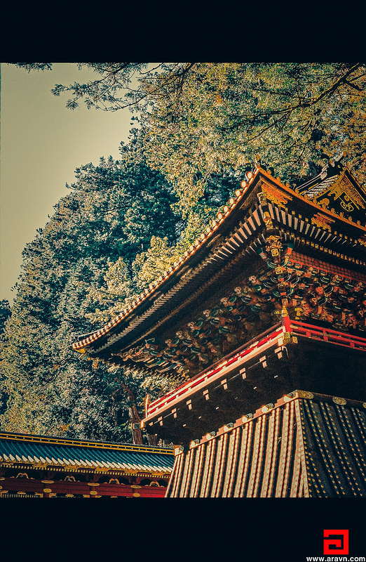 20563037670_a77ea05dd4_c.jpg
