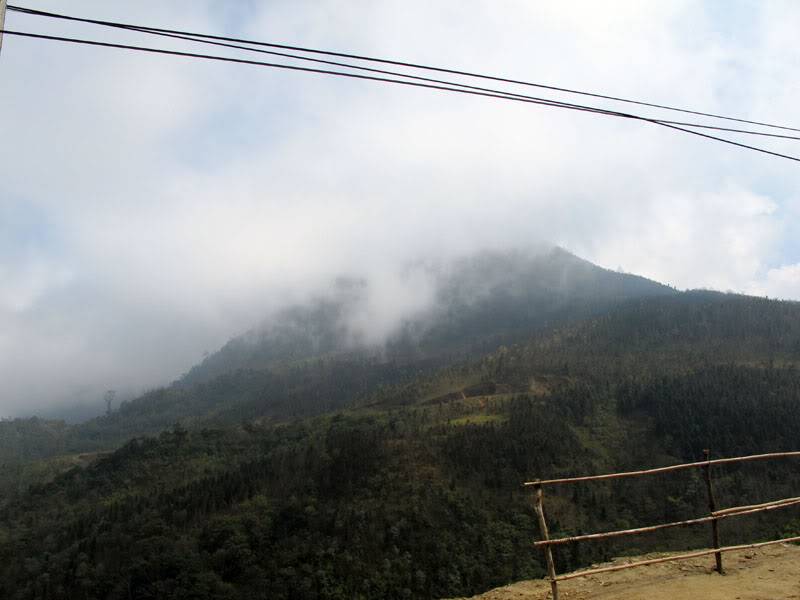 HongNgai2011175.jpg