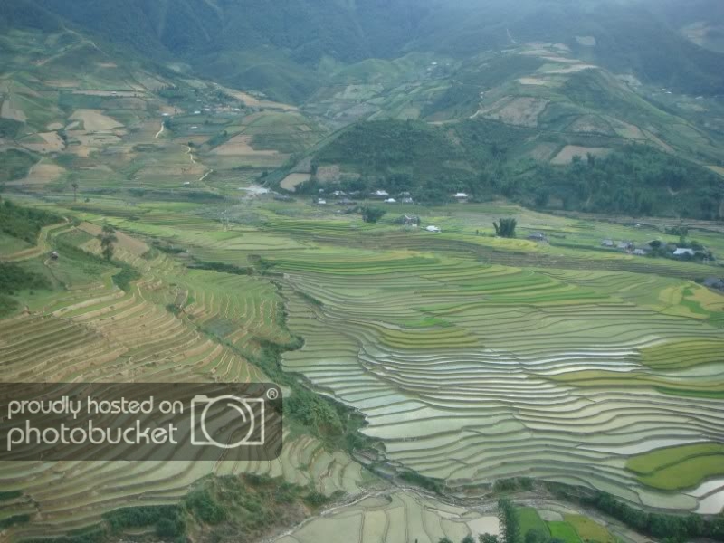 Ruongbacthang.jpg
