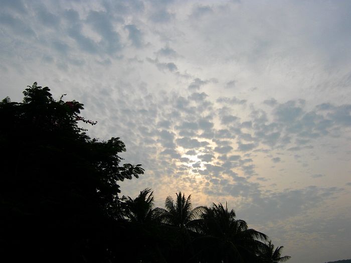 IMG_2651.jpg