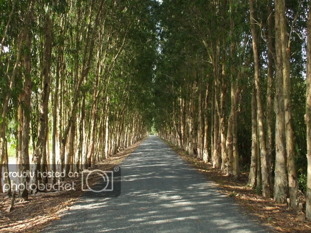 DSCF3876.jpg