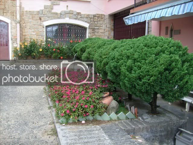 S7301798.jpg
