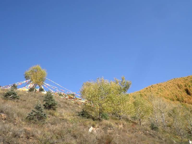 PA141414.jpg