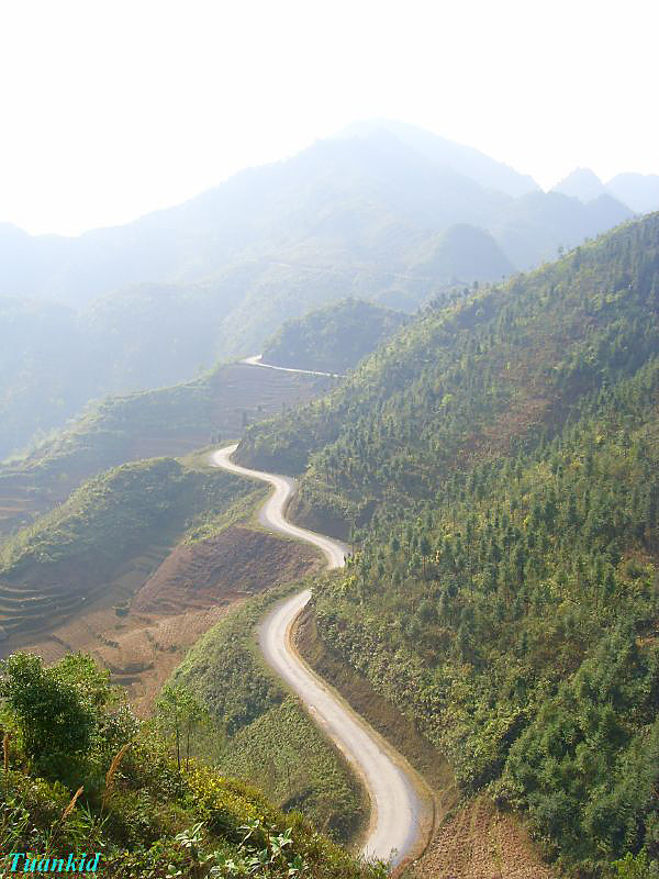 SDC16395.jpg