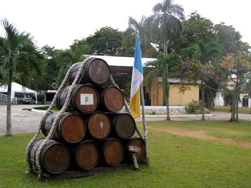 P1290177.jpg