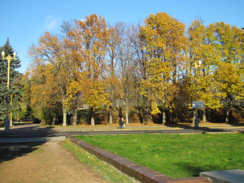 IMG_6653_zps4b7e823c.jpg