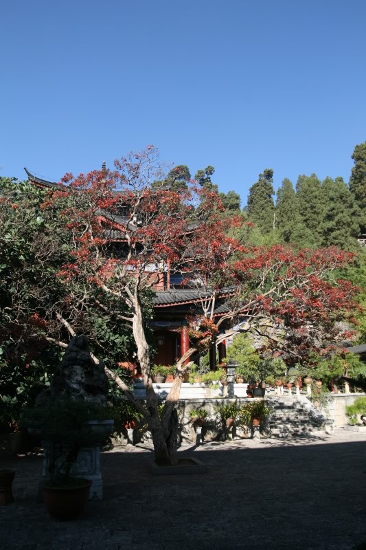 File818.jpg