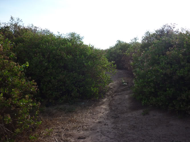 P1330548.jpg