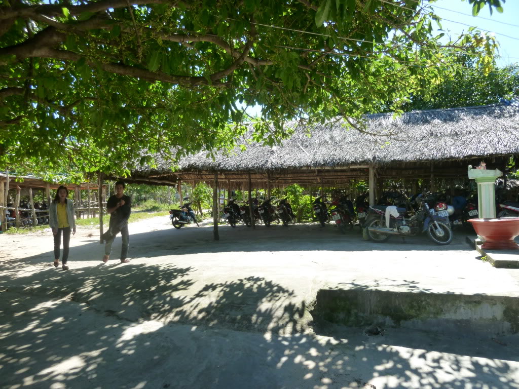 P1080350-1.jpg