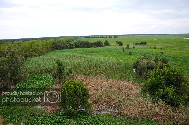 DSC_7064_zpse1d444b9.jpg