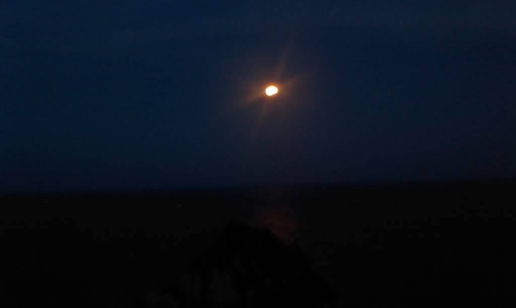 IMAG0626.jpg