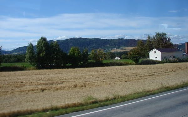DSC09861.jpg