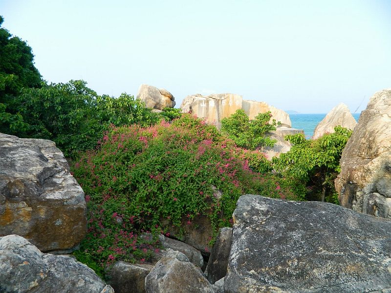 DSCN2747.jpg