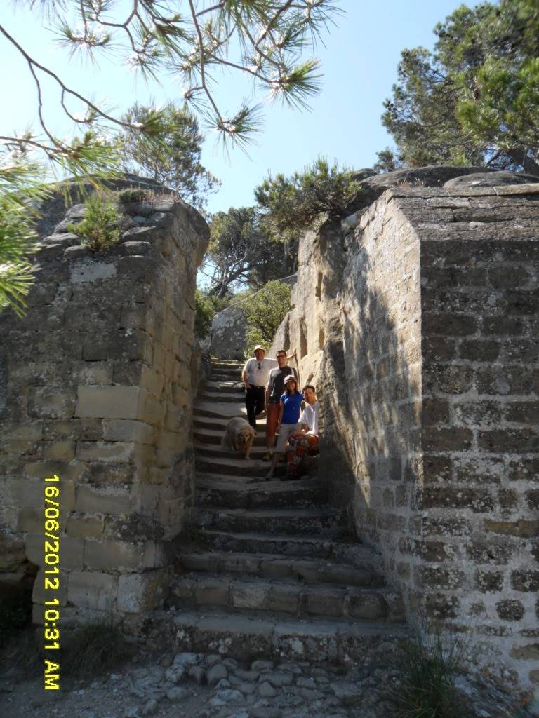 SAM_0364.jpg