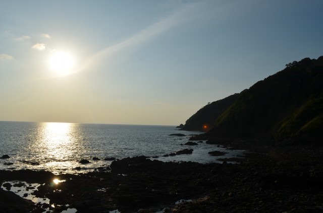 DSC_2346.jpg