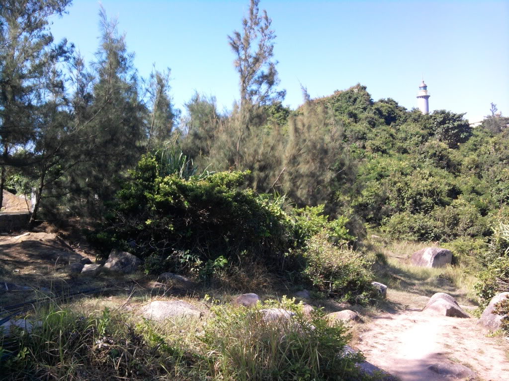 2011-07-16145403.jpg