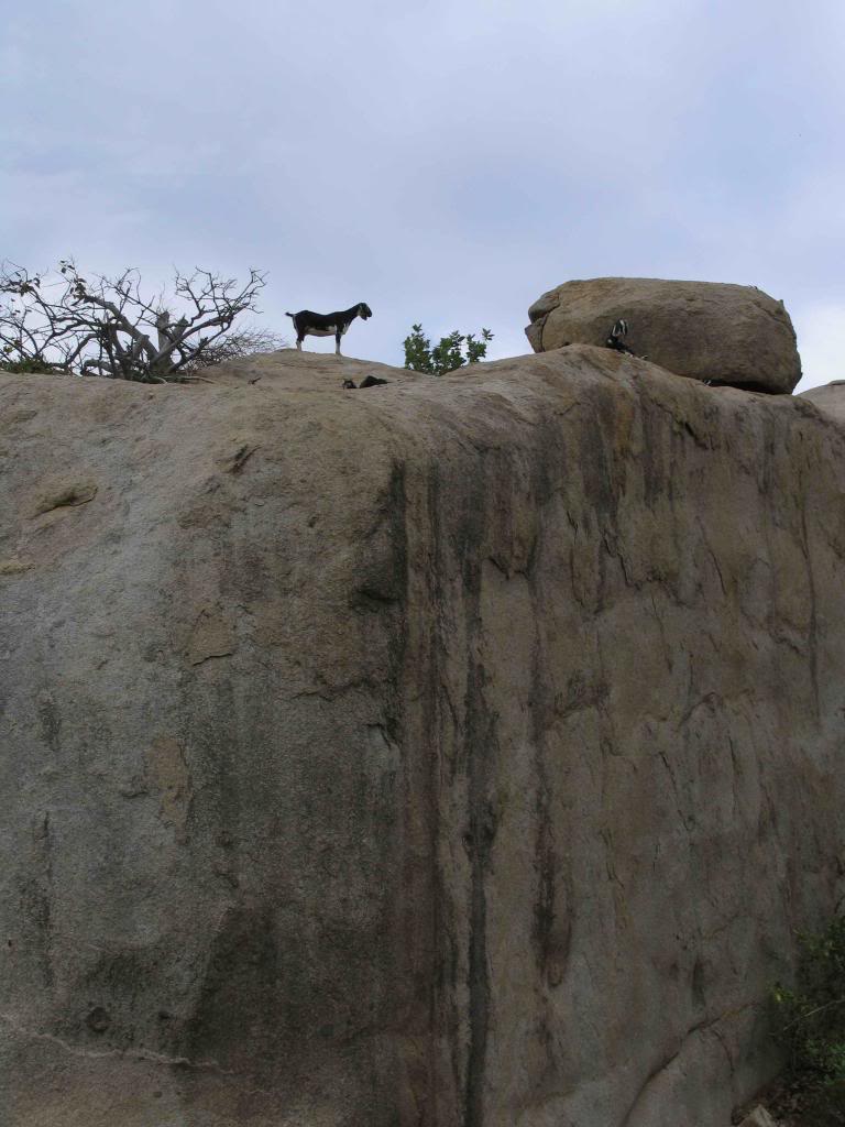 _MG_2522.jpg