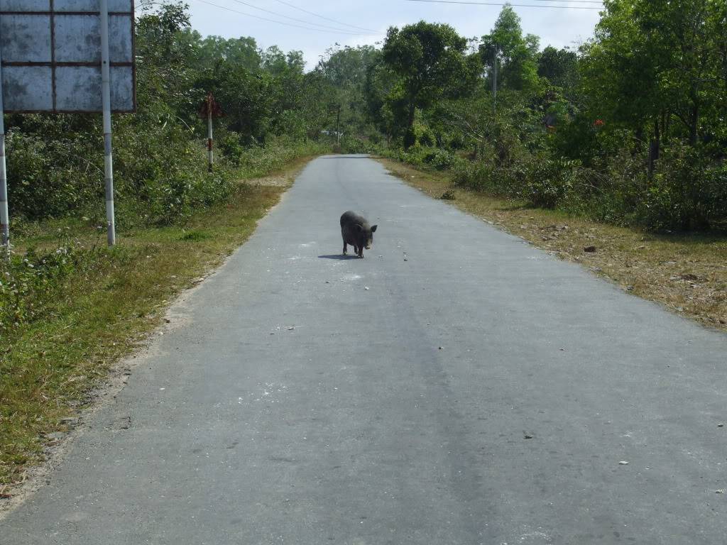 DSCF43001.jpg