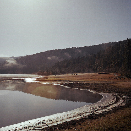4717305395_4580711d44.jpg