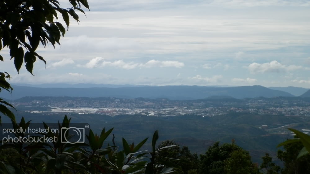 P1000520.jpg