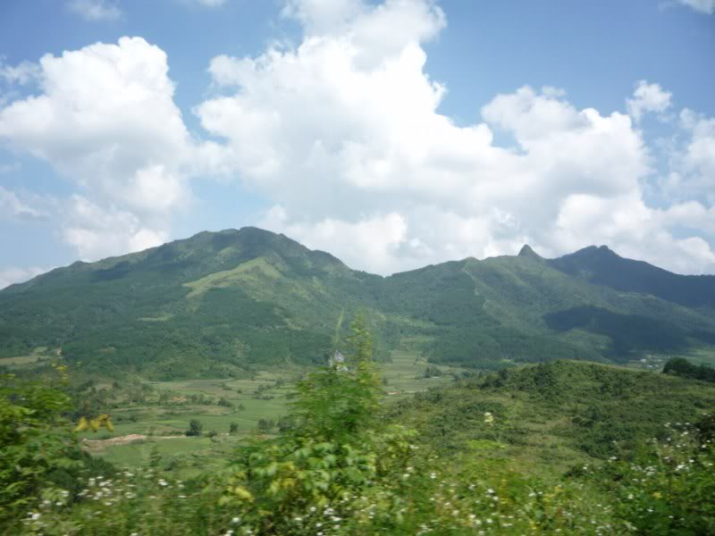 P1010730800x600.jpg